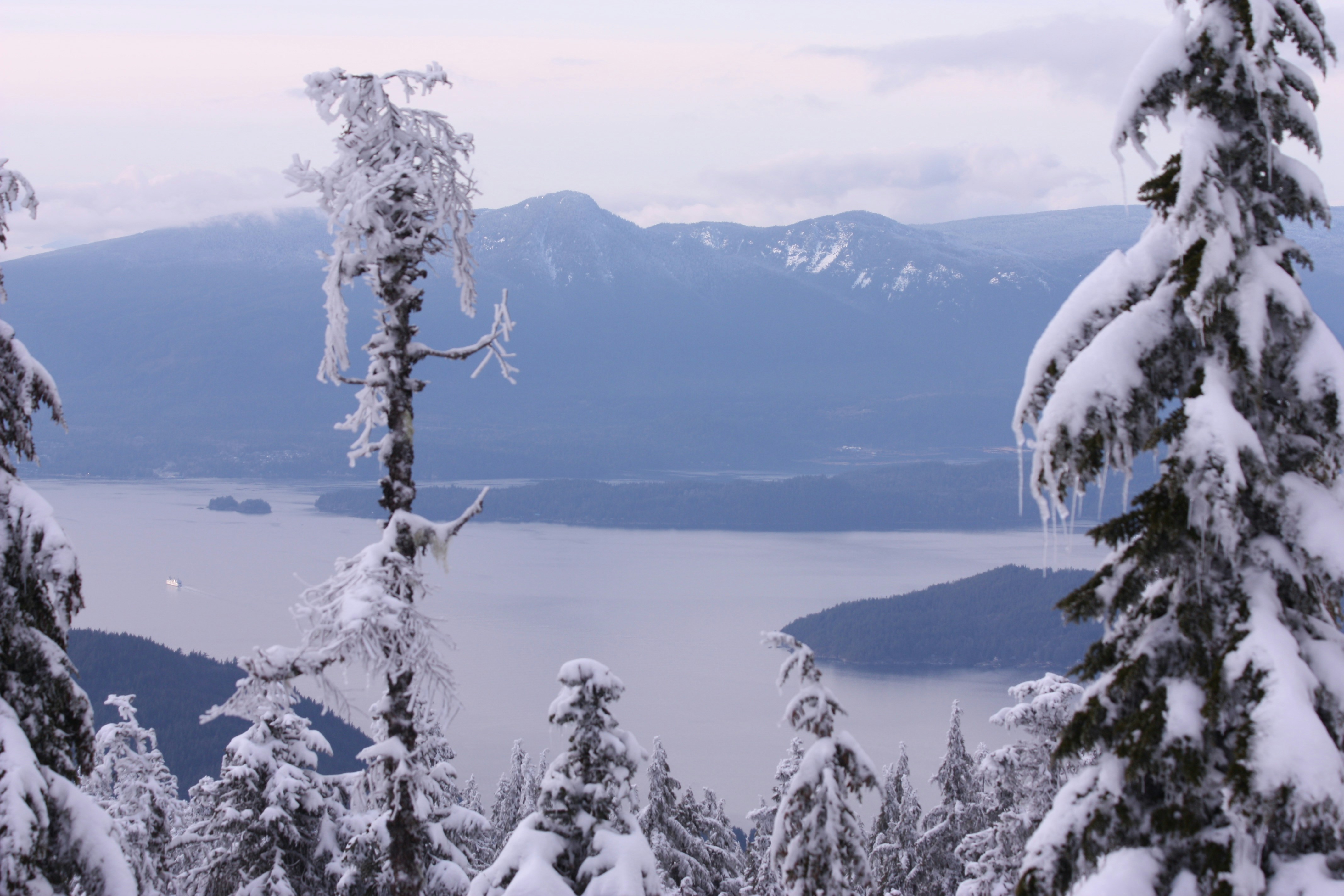 a view of a lake surrounded by snow covered trees