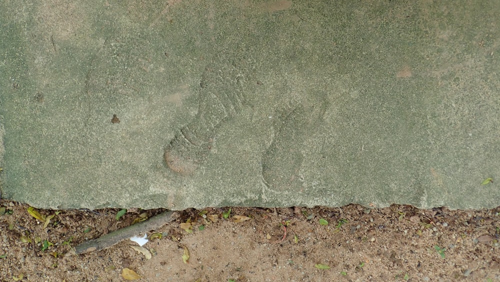 a piece of cement that has been placed on the ground