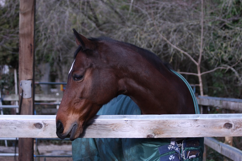 a brown horse standing next to a wooden fence