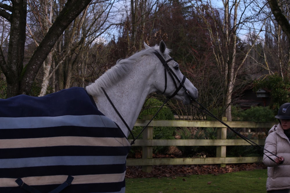 a woman standing next to a white horse