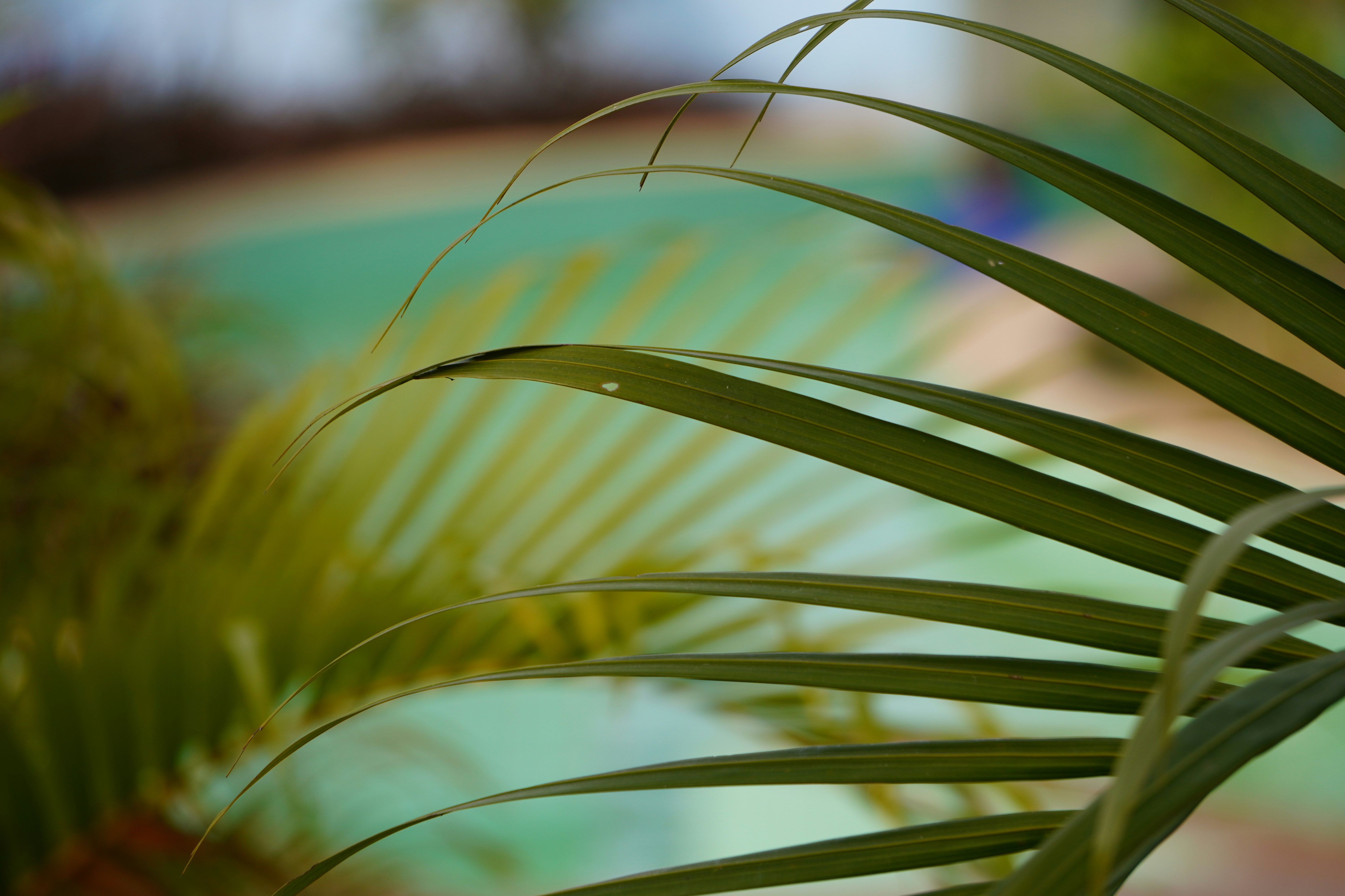 Photo by adeveloper79