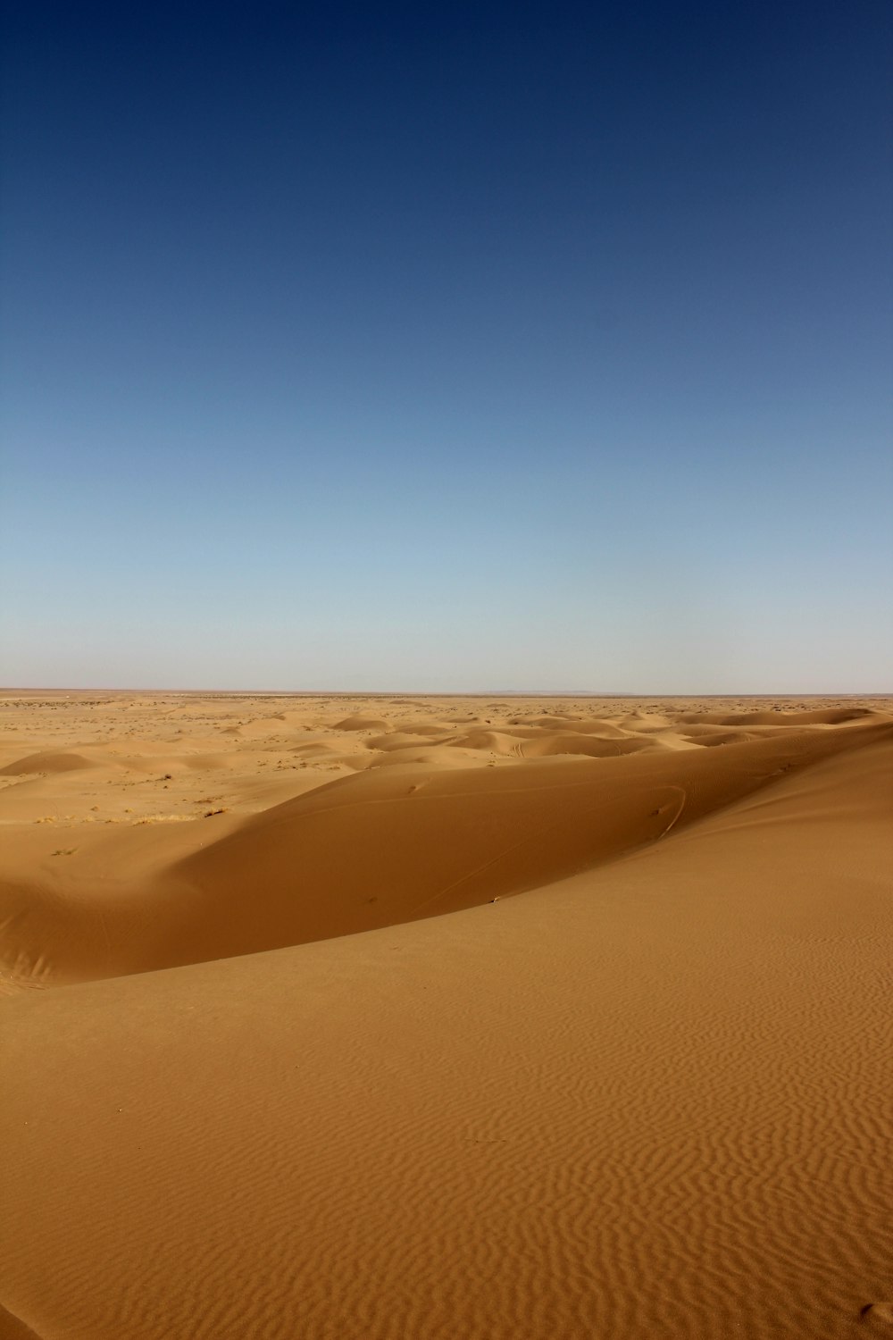 a desert with a blue sky and some sand dunes