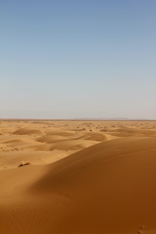 a large sandy area with a few trees in the distance