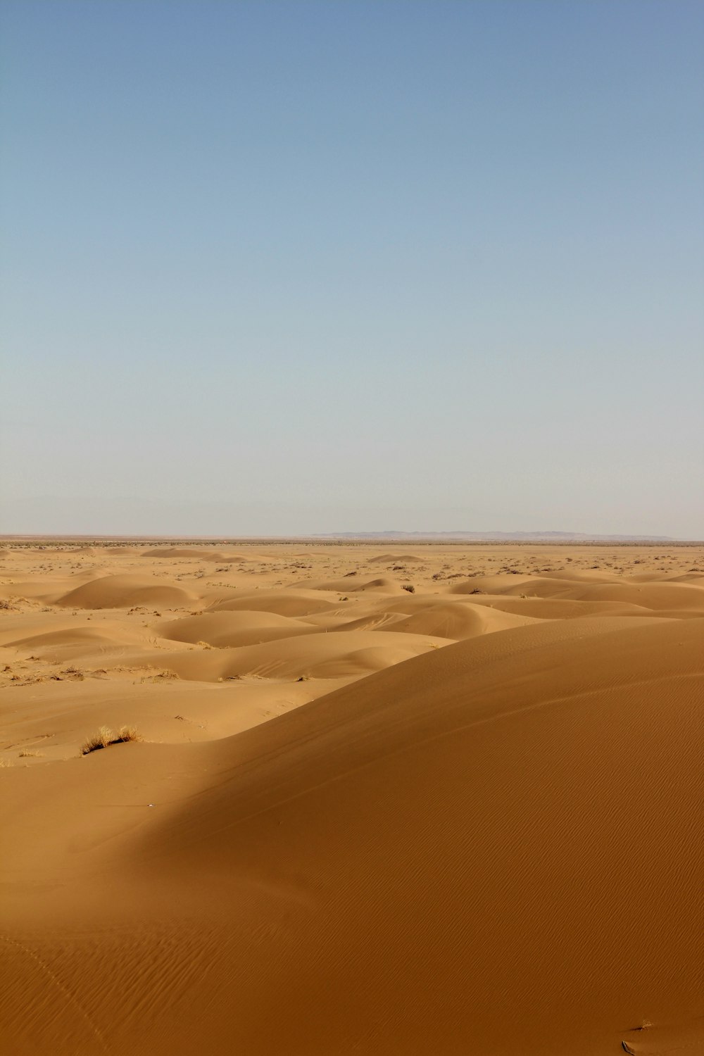 a large sandy area with a few trees in the distance