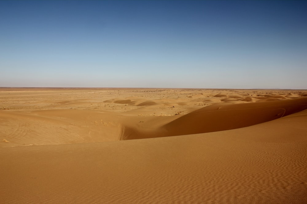 a desert landscape with a blue sky in the background