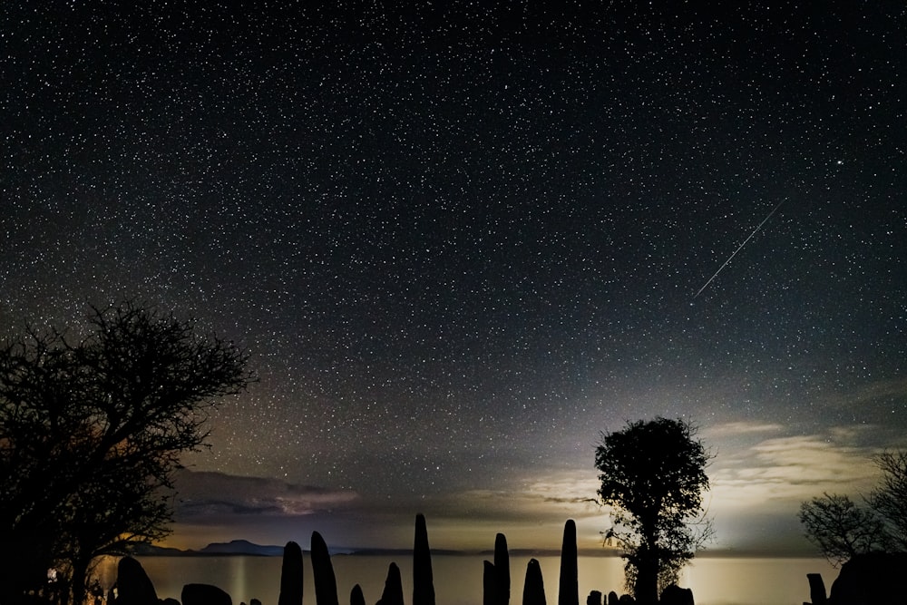 a night sky with stars and a tree in the foreground