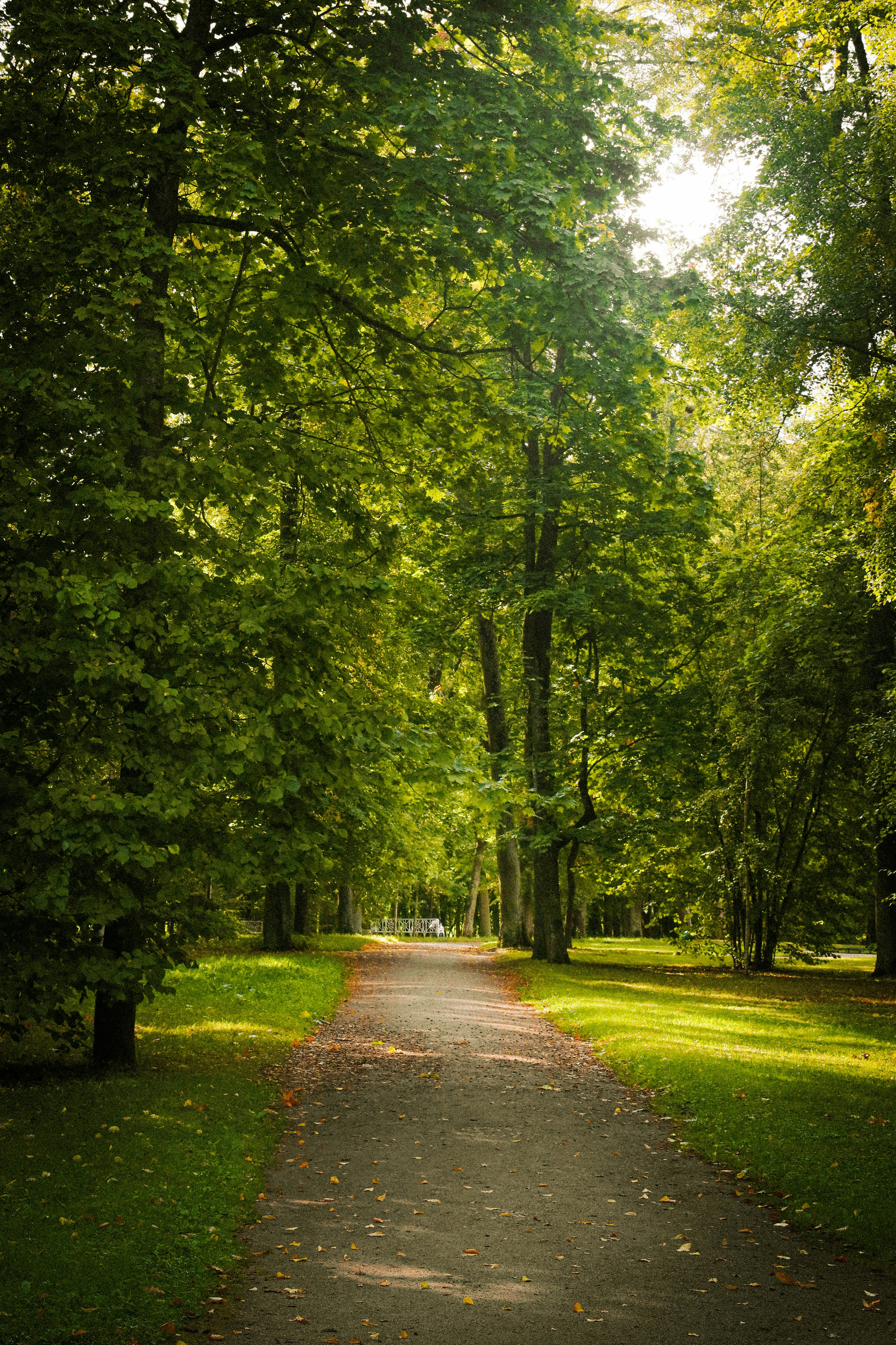 Photo by maitranquynh04