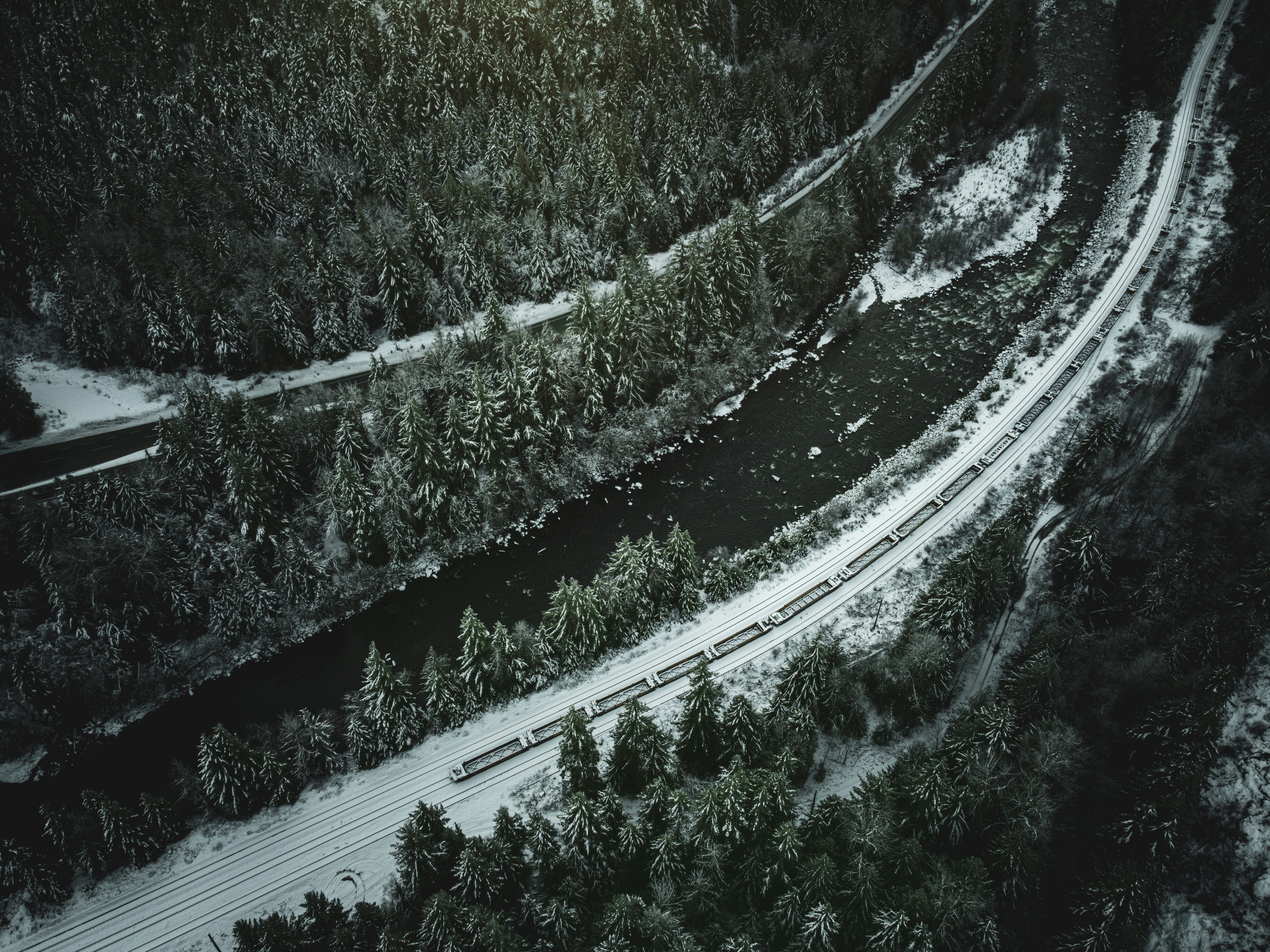 Photo by dillon_hunt