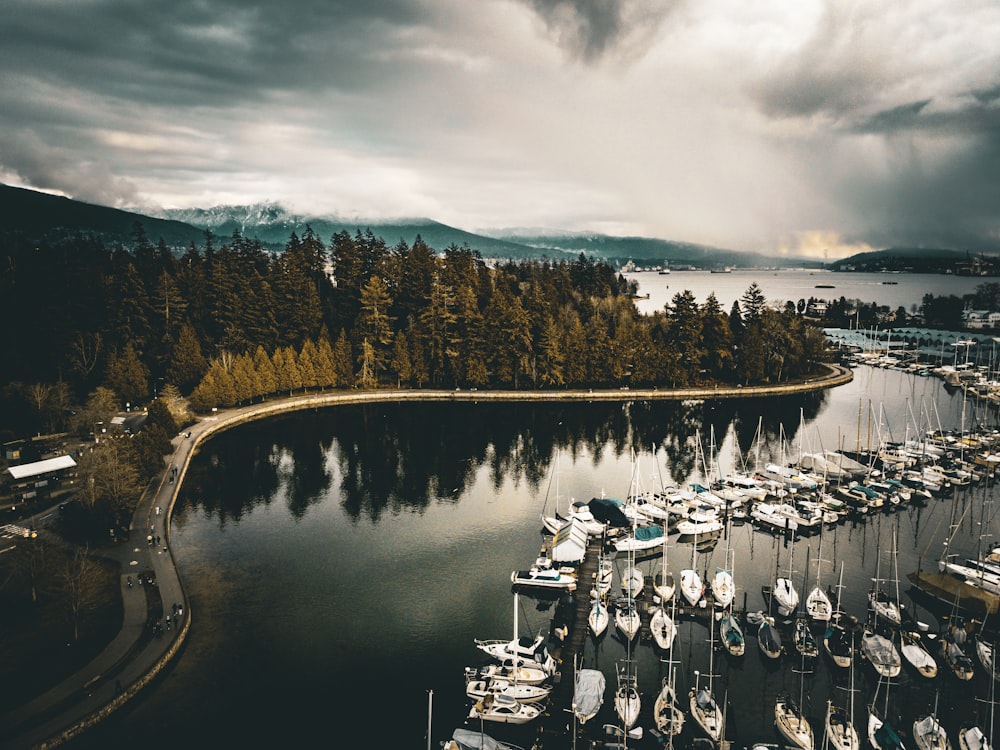 a large body of water filled with lots of boats