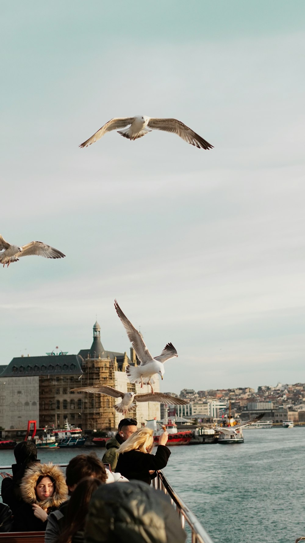 a flock of birds flying over a body of water