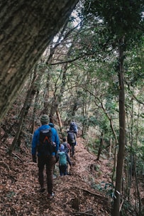 a group of people hiking through a forest