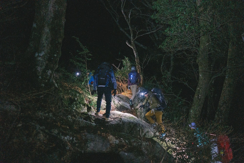 un groupe de personnes debout au sommet d’une forêt verdoyante