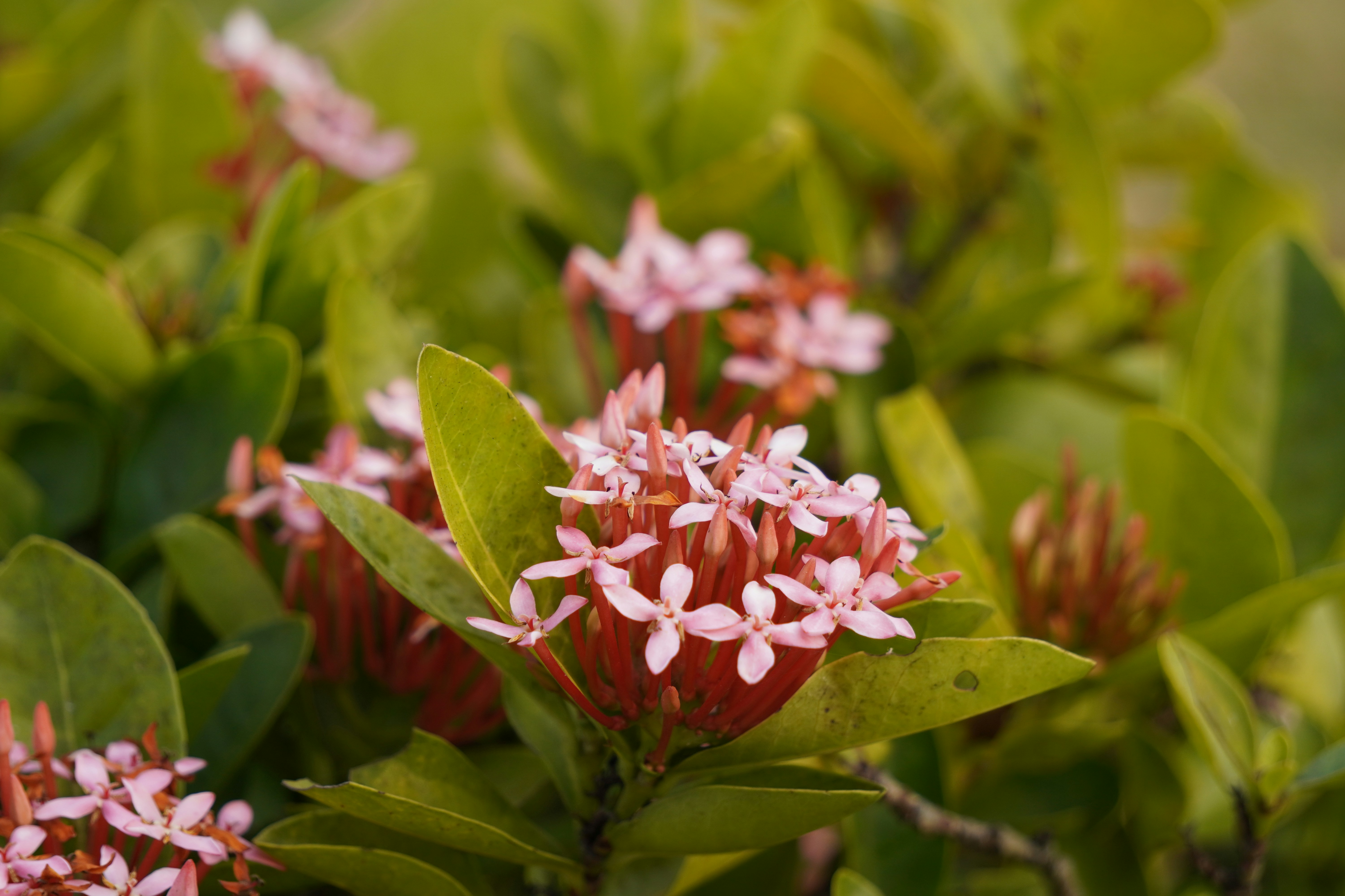 Photo by adeveloper79