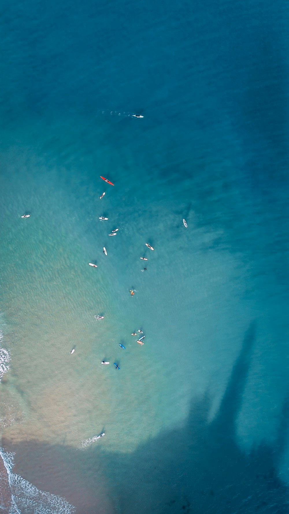 a group of people in the water with surfboards