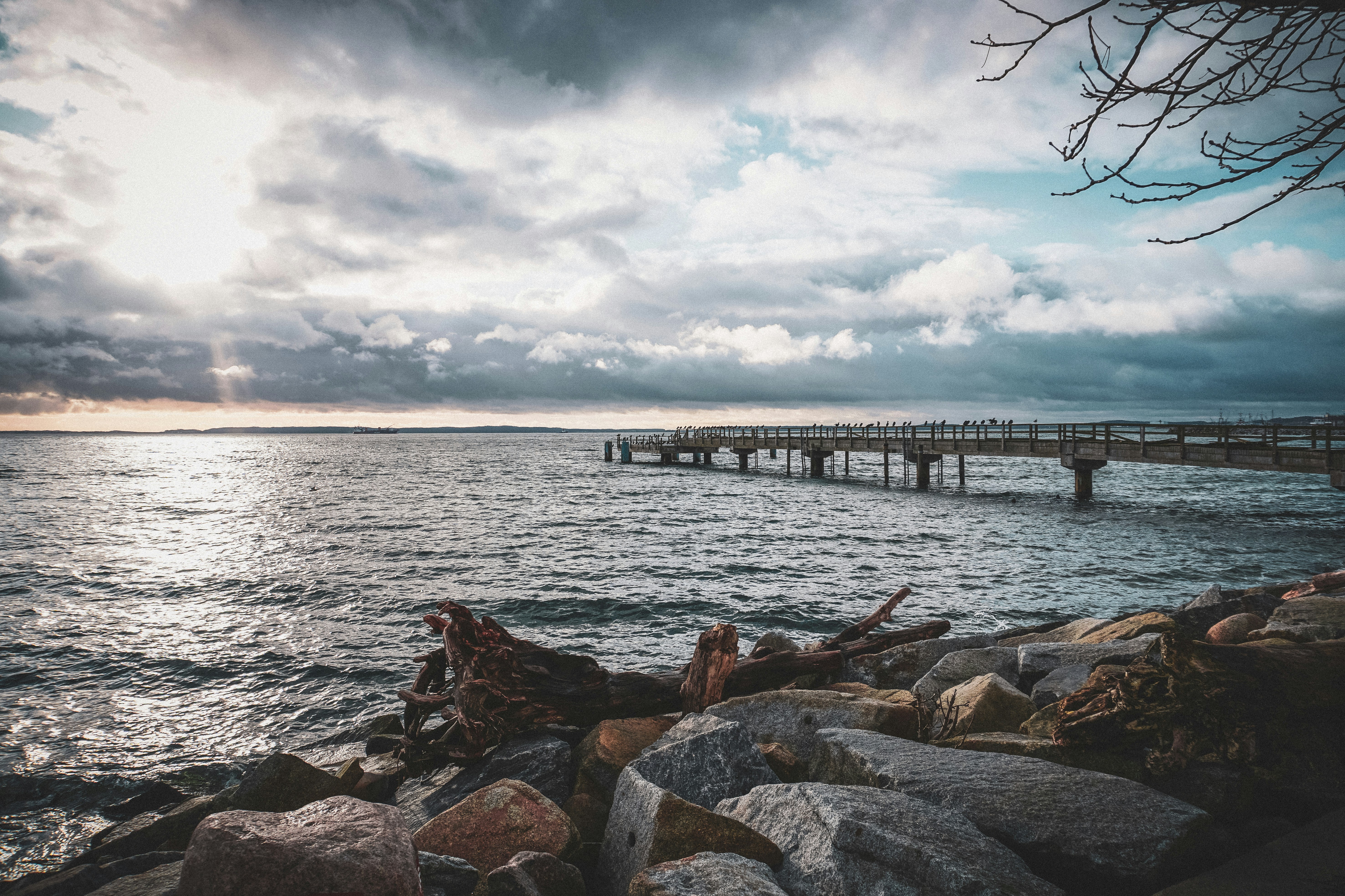 Photo by sindy_suessengut