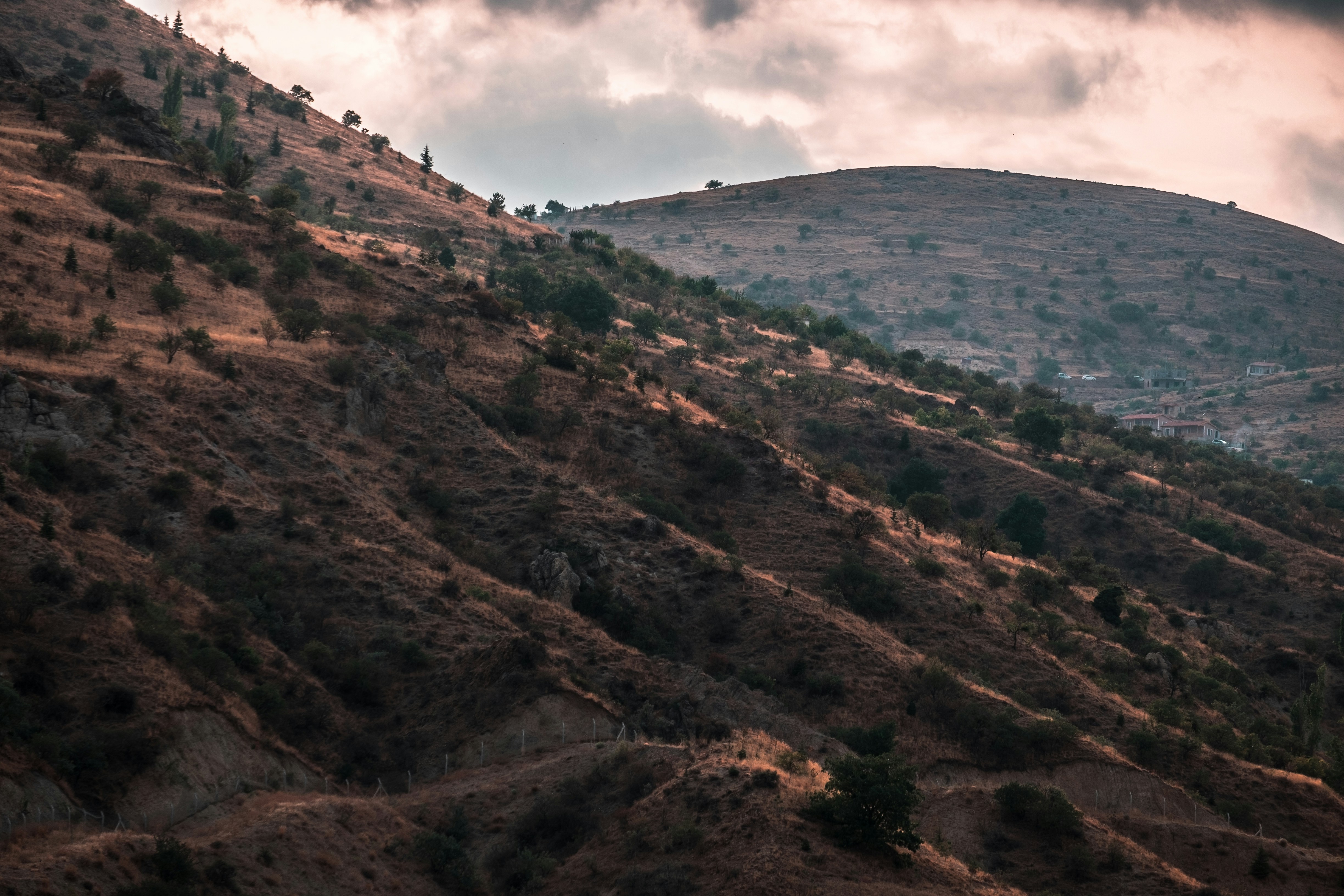 Photo by mo_design_3d