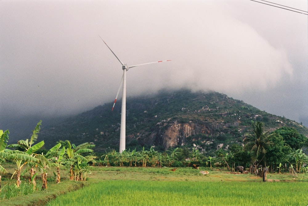 uma turbina eólica no topo de uma colina verde