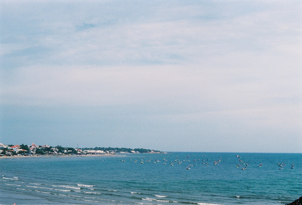 a group of people standing on top of a beach next to the ocean