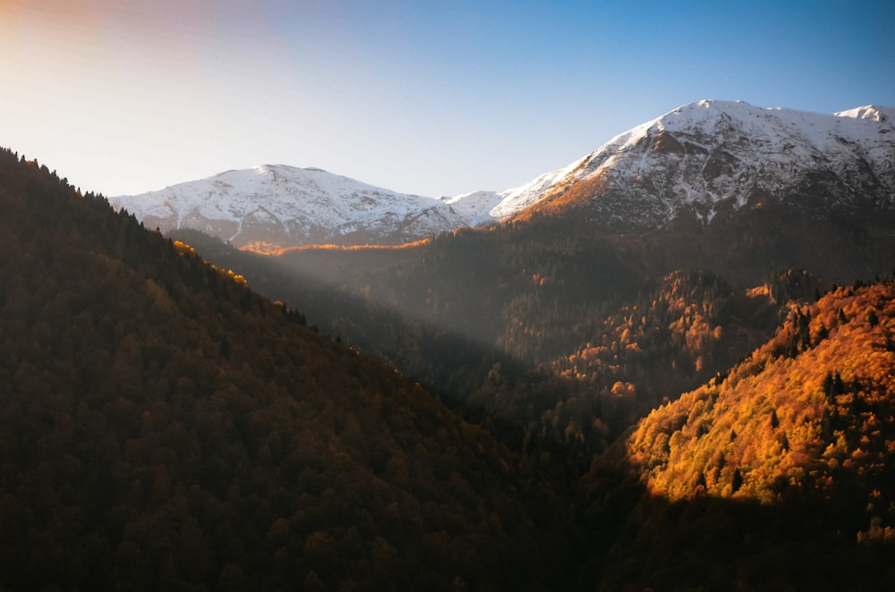 a view of a mountain range with trees in the foreground