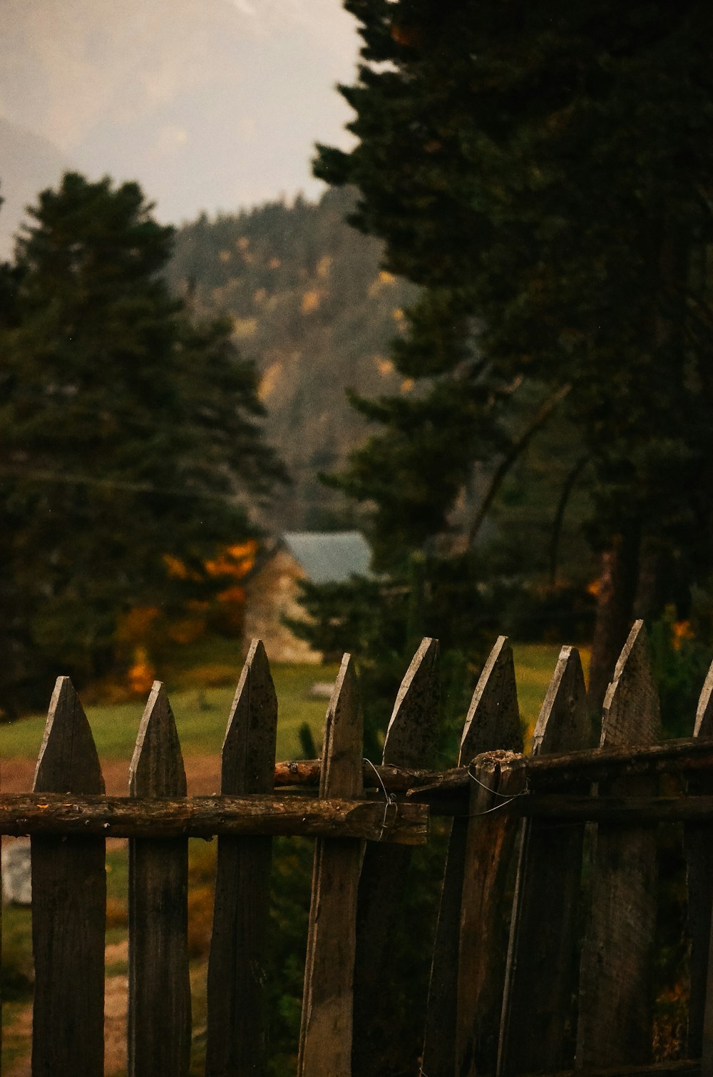 a bird perched on top of a wooden fence