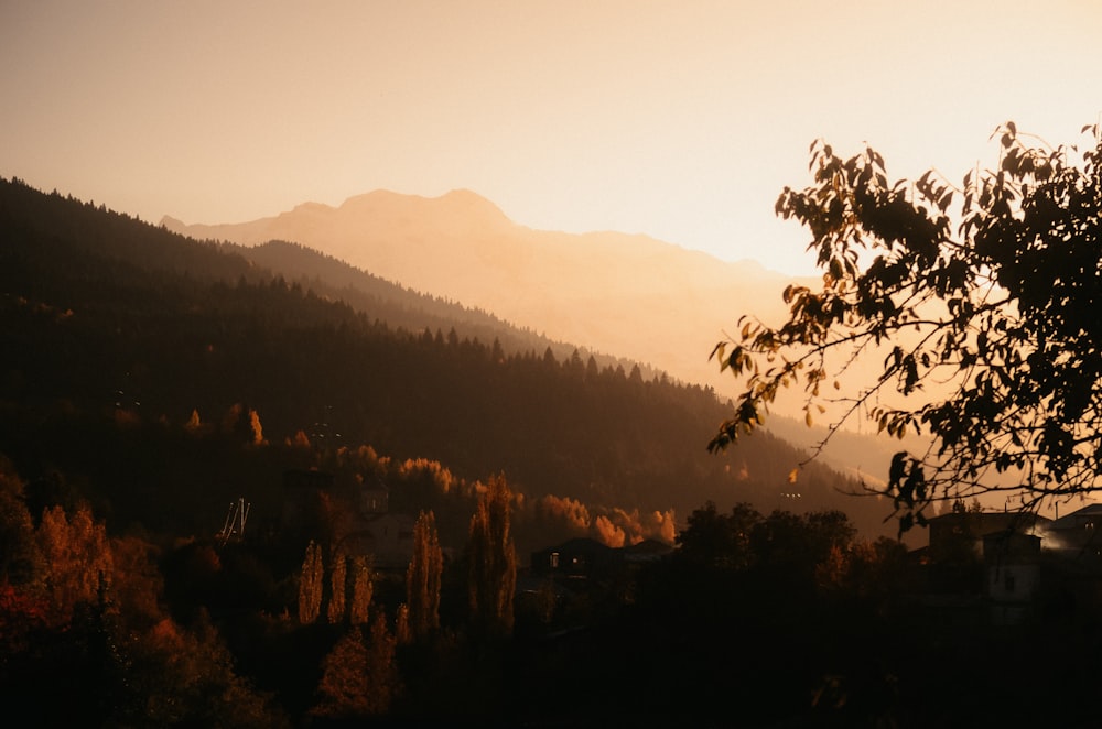 a view of a mountain range with trees in the foreground