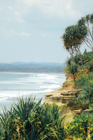 a view of the ocean from a cliff
