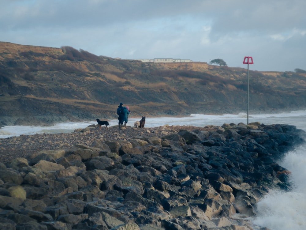 a couple of people standing on top of a rocky beach