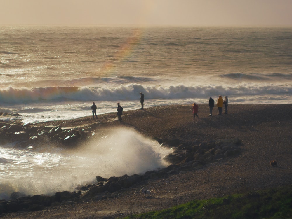 a group of people standing on top of a beach next to the ocean