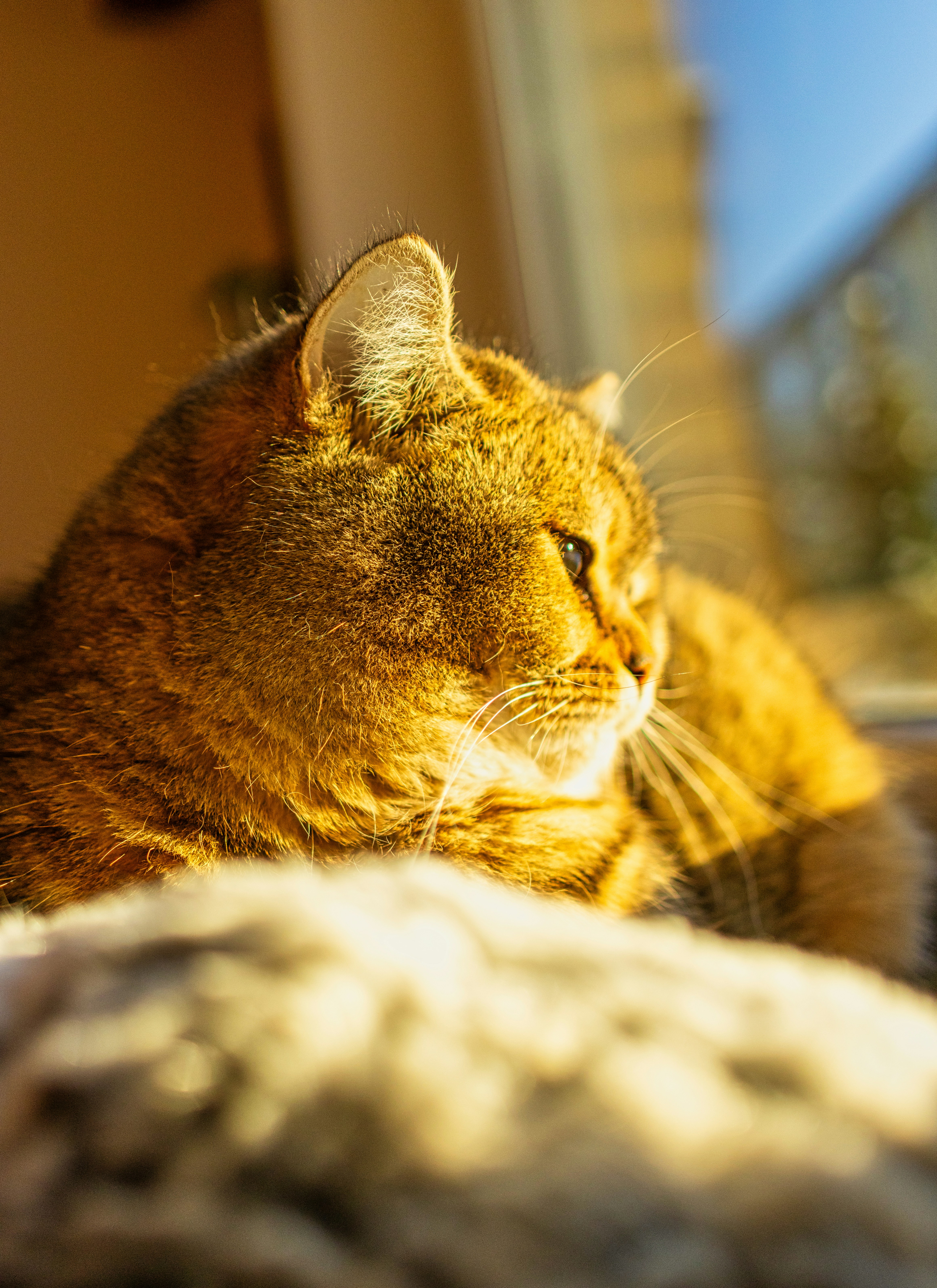 The Comfort of Shared Silence (image credits: unsplash)