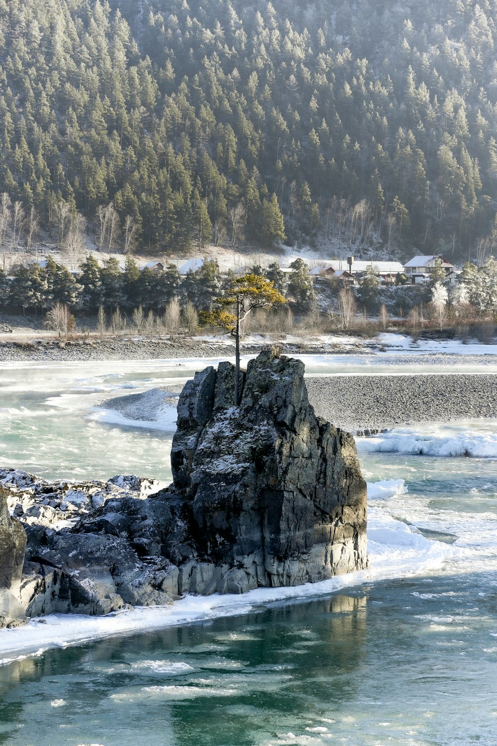 a lone tree on a rock in the middle of a frozen lake