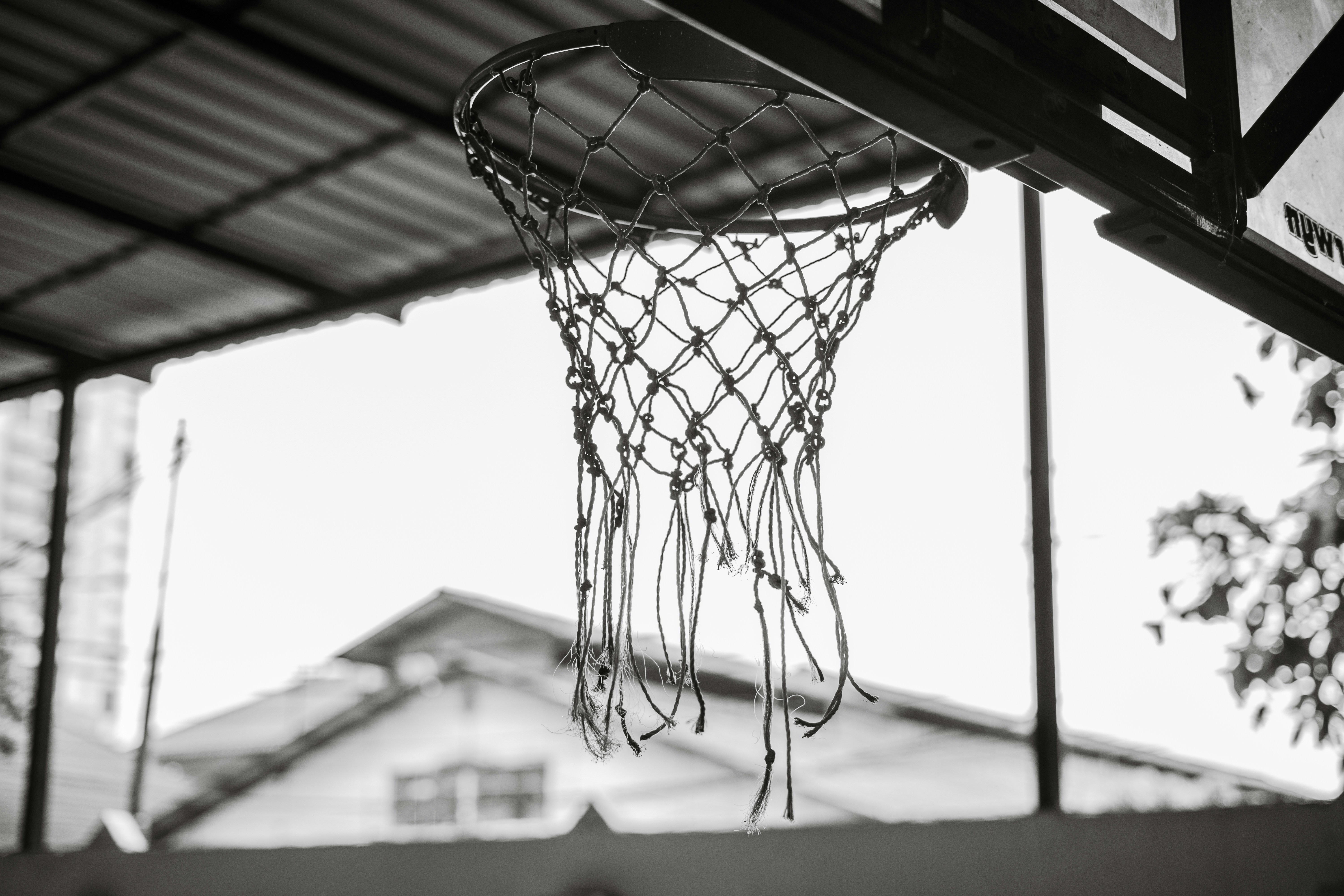 Photo by divarakasiwi