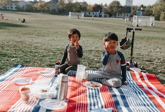 two young boys sitting on a blanket eating food