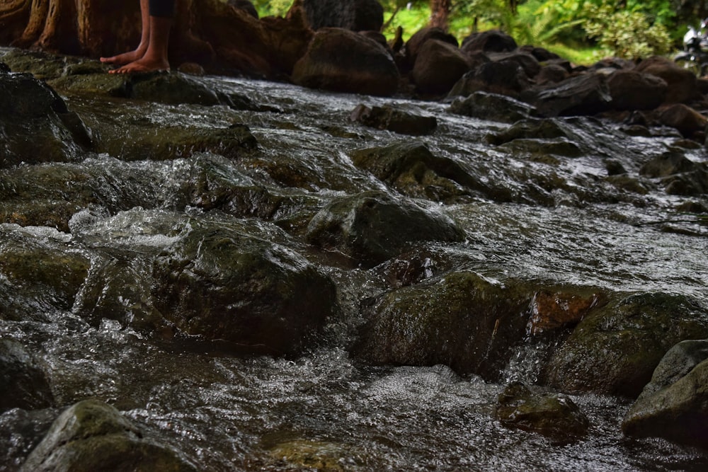 a person standing on rocks in a stream