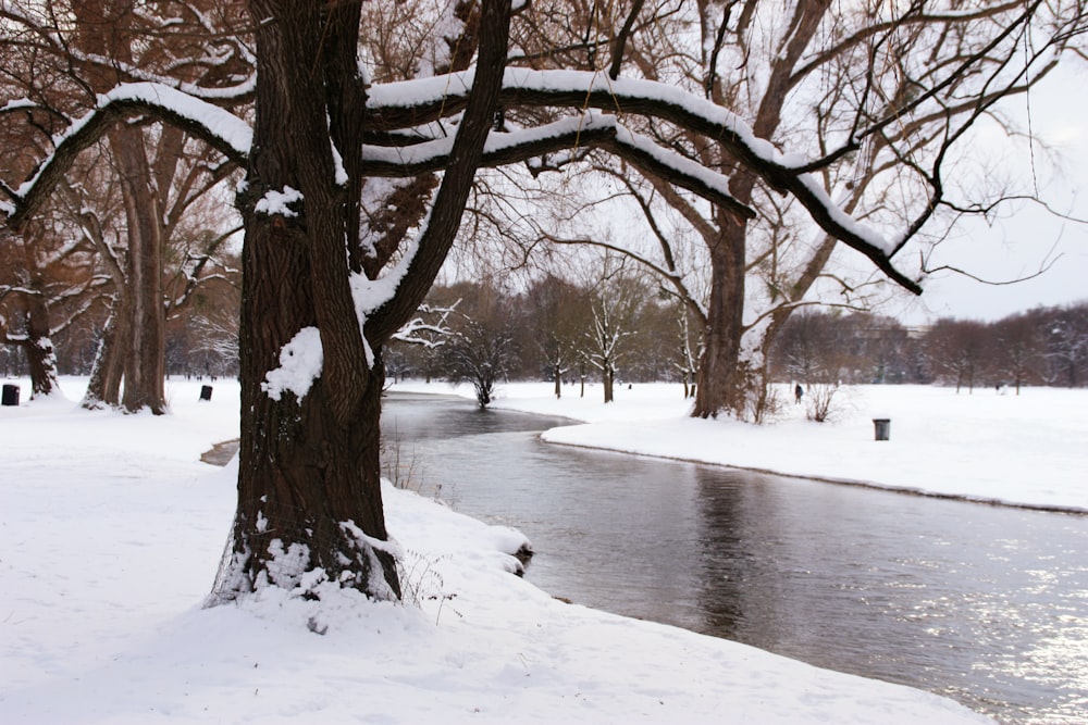 a river running through a park covered in snow