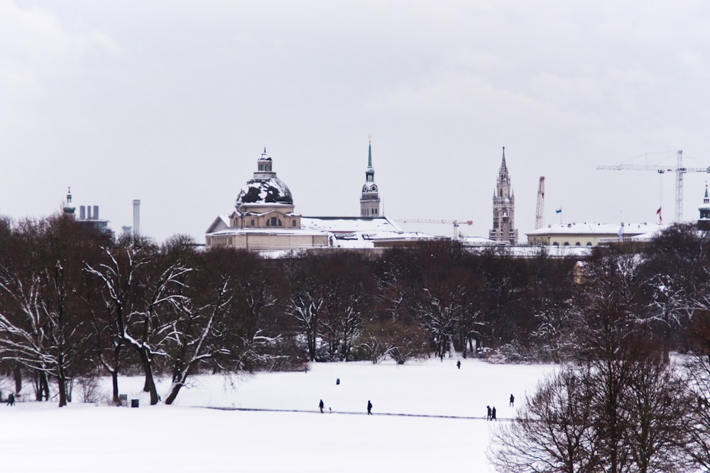 a view of a city with a lot of trees in the foreground