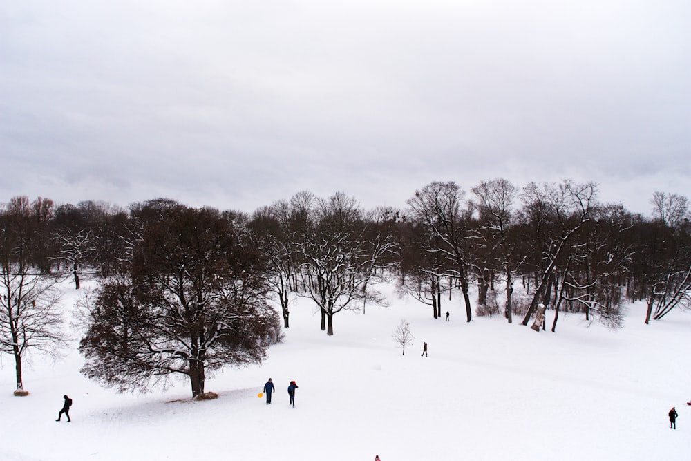 a group of people riding skis down a snow covered slope