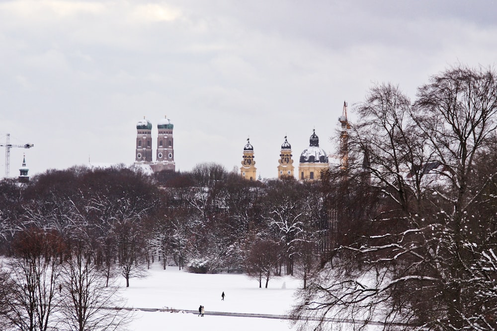 a view of a snowy park with trees and buildings in the background