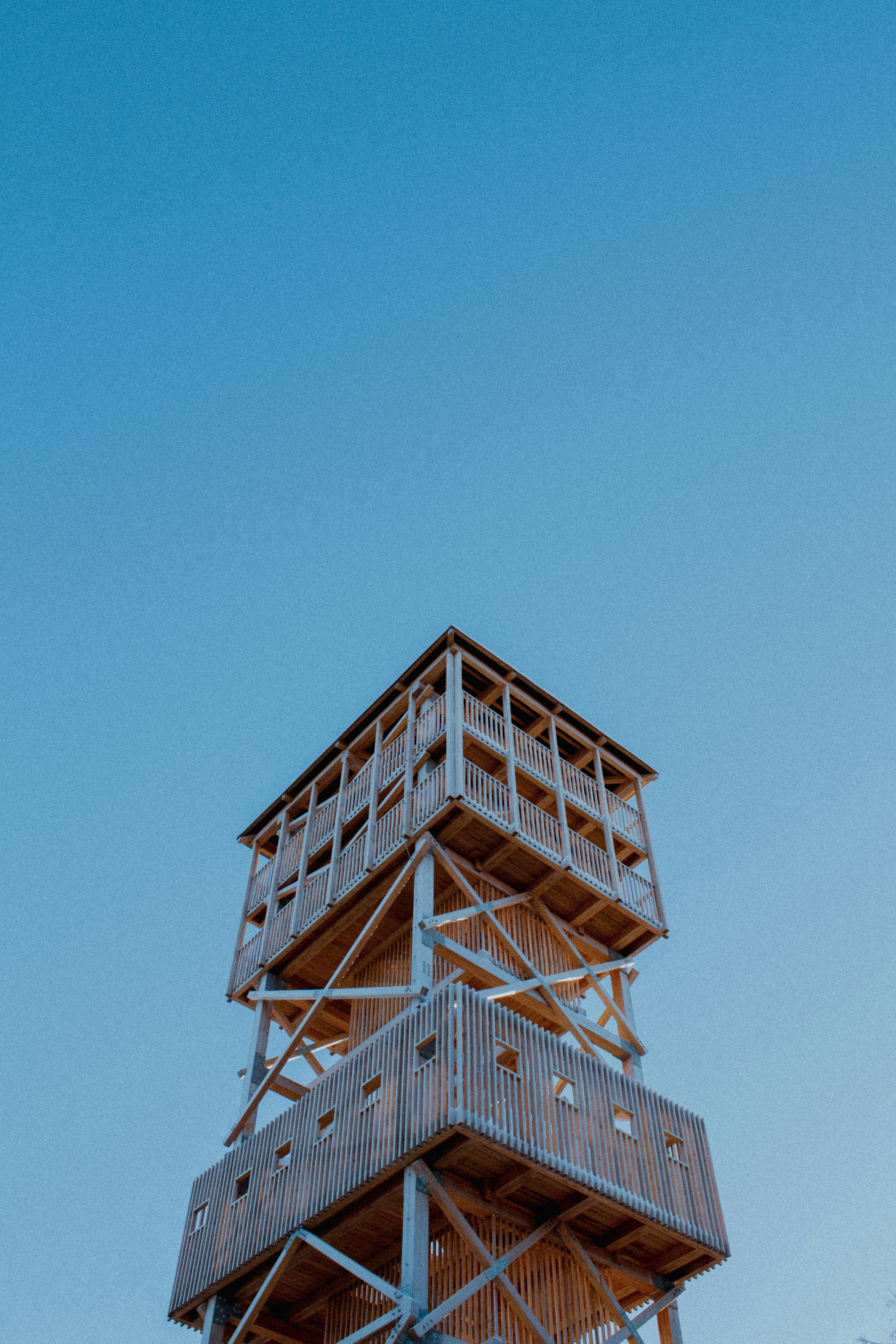 Photo by maximyuryshev