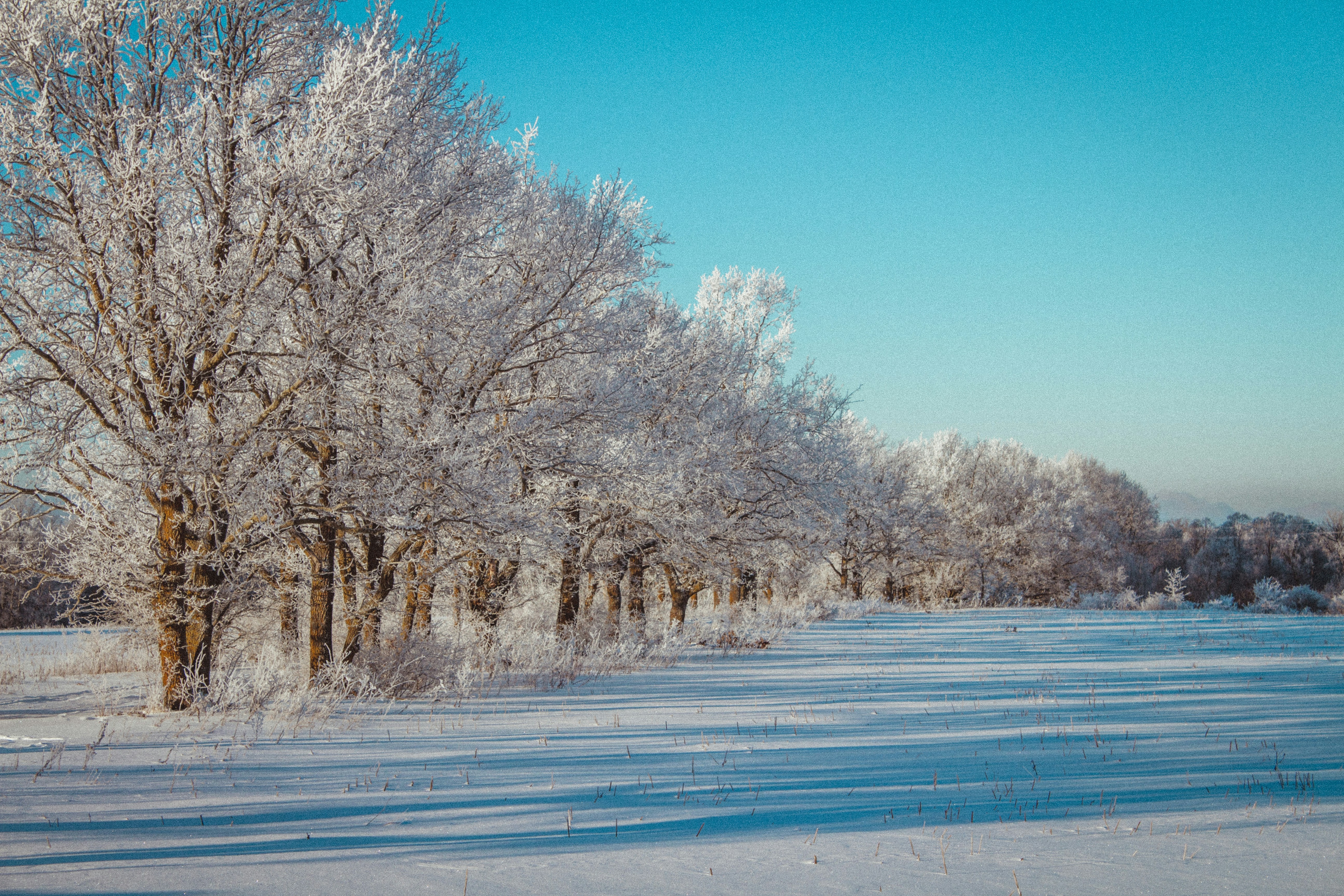 Photo by maximyuryshev
