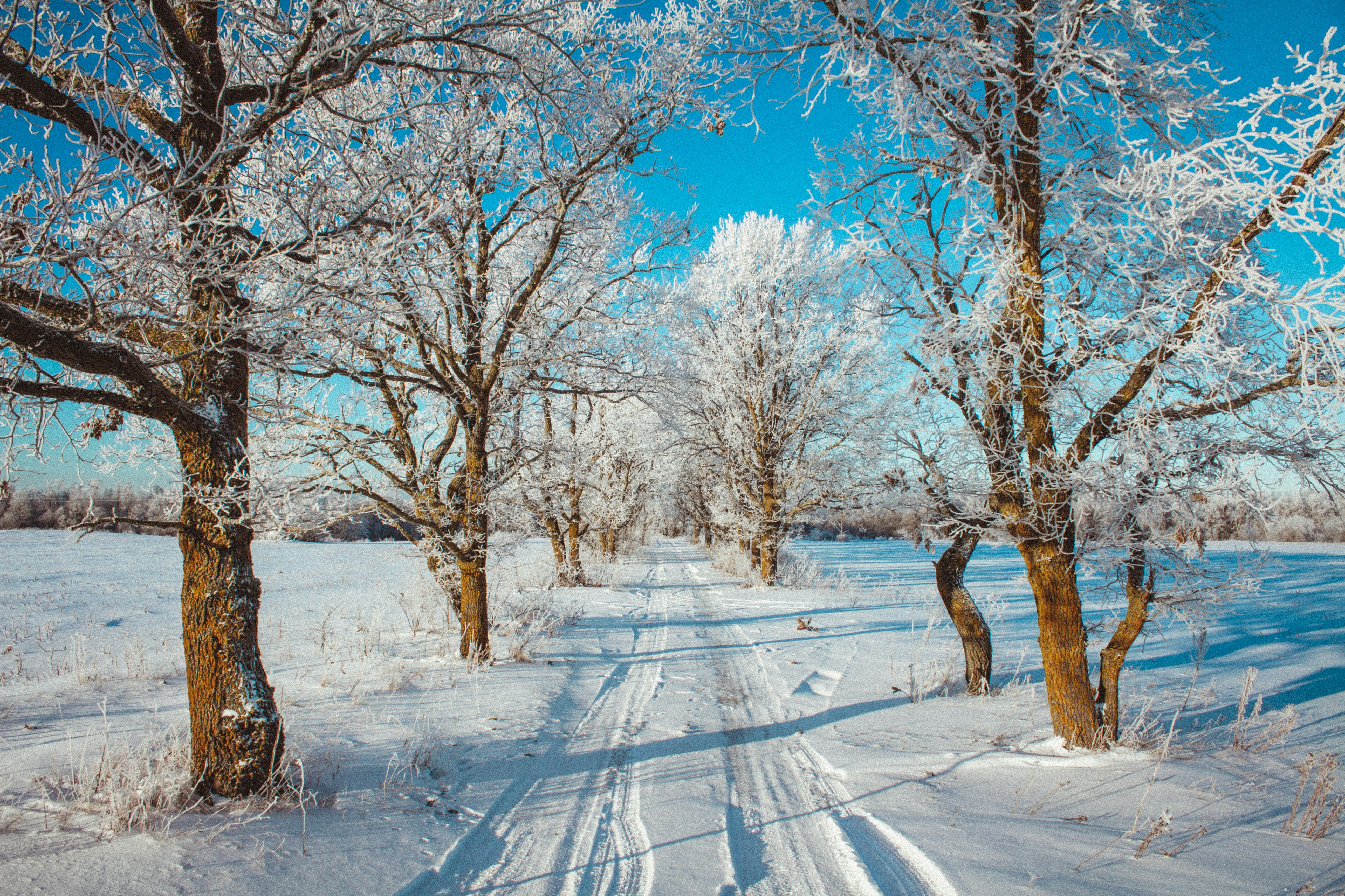 Photo by maximyuryshev