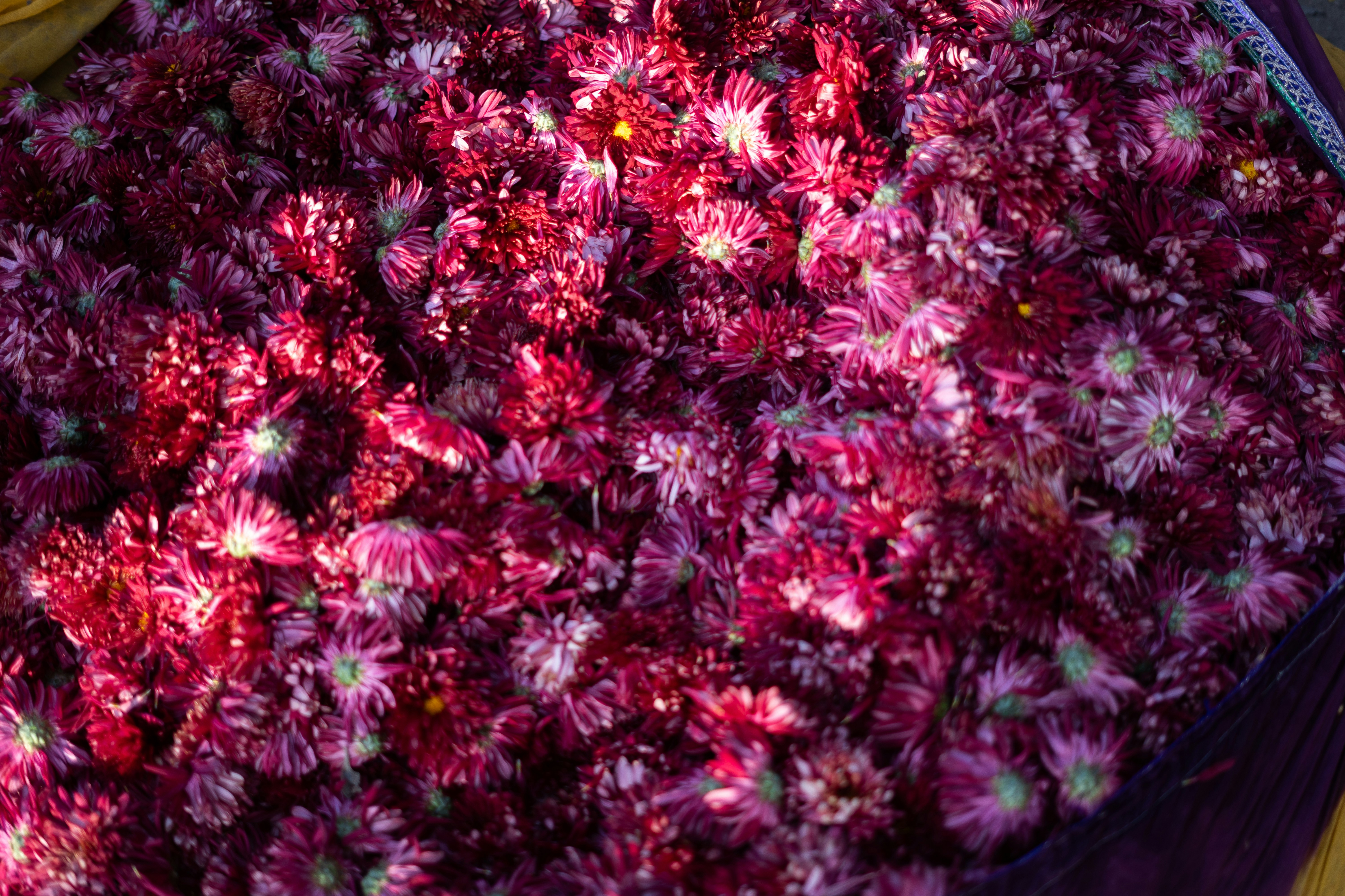 Photo by nitinbhaskar