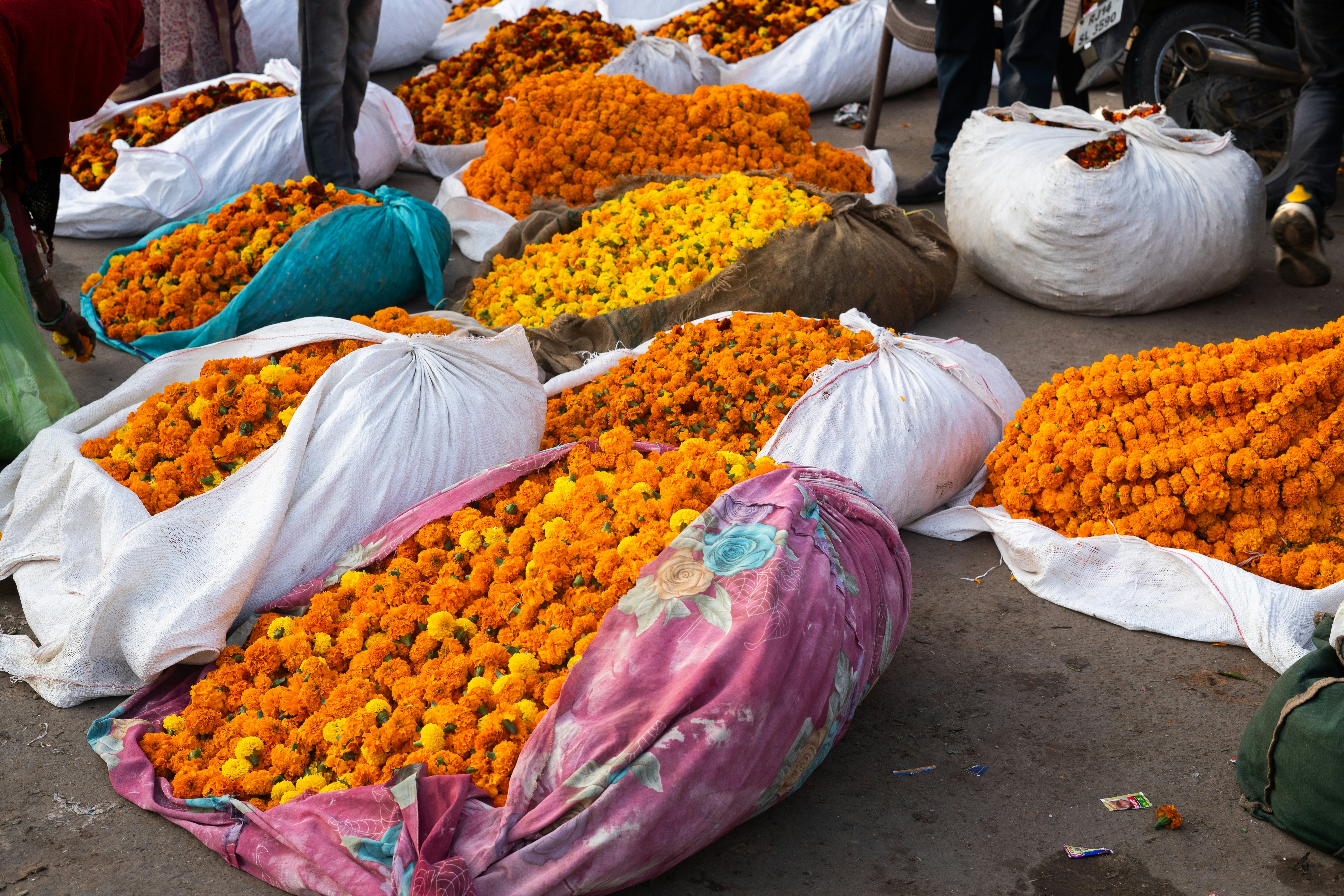 Photo by nitinbhaskar