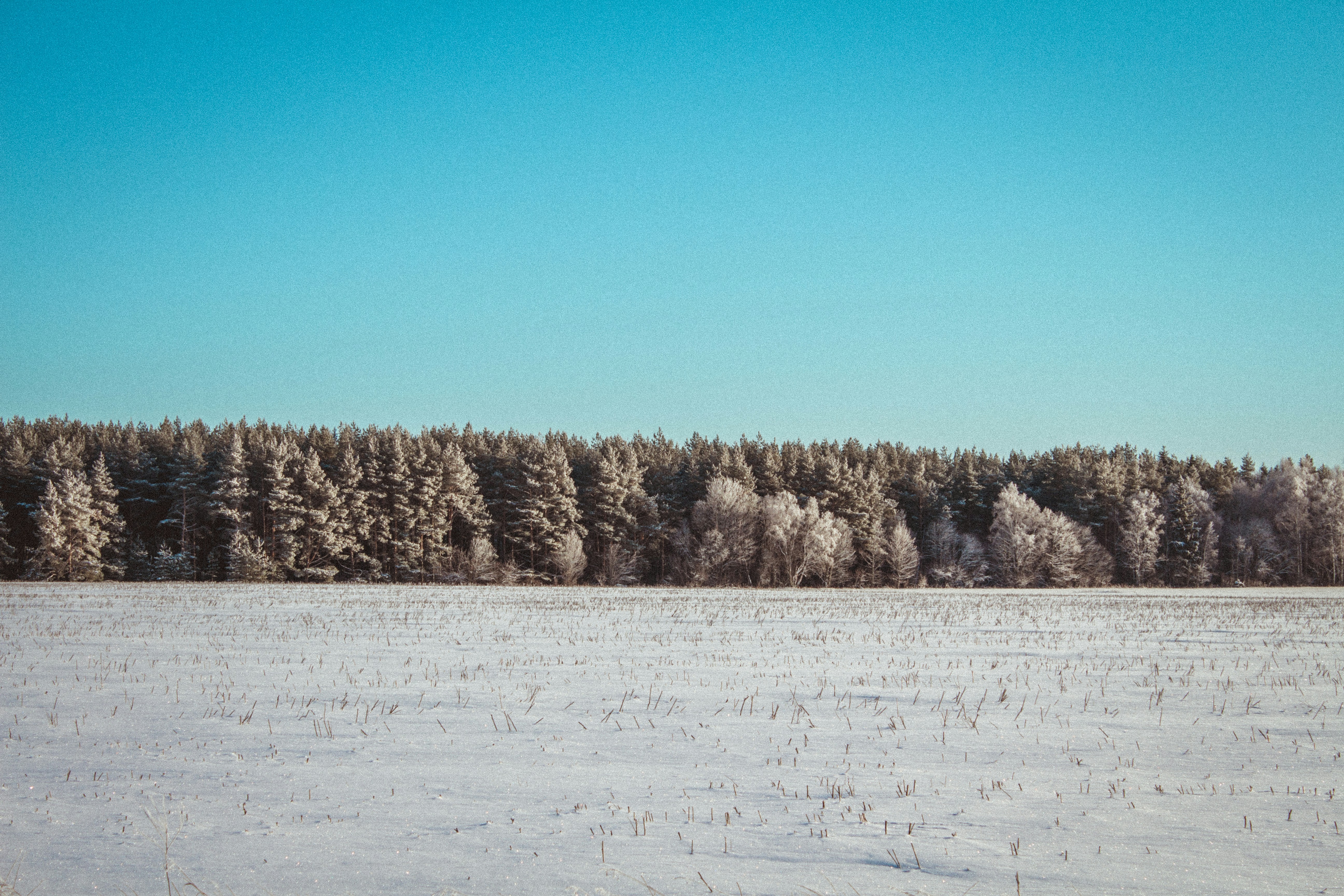 Photo by maximyuryshev