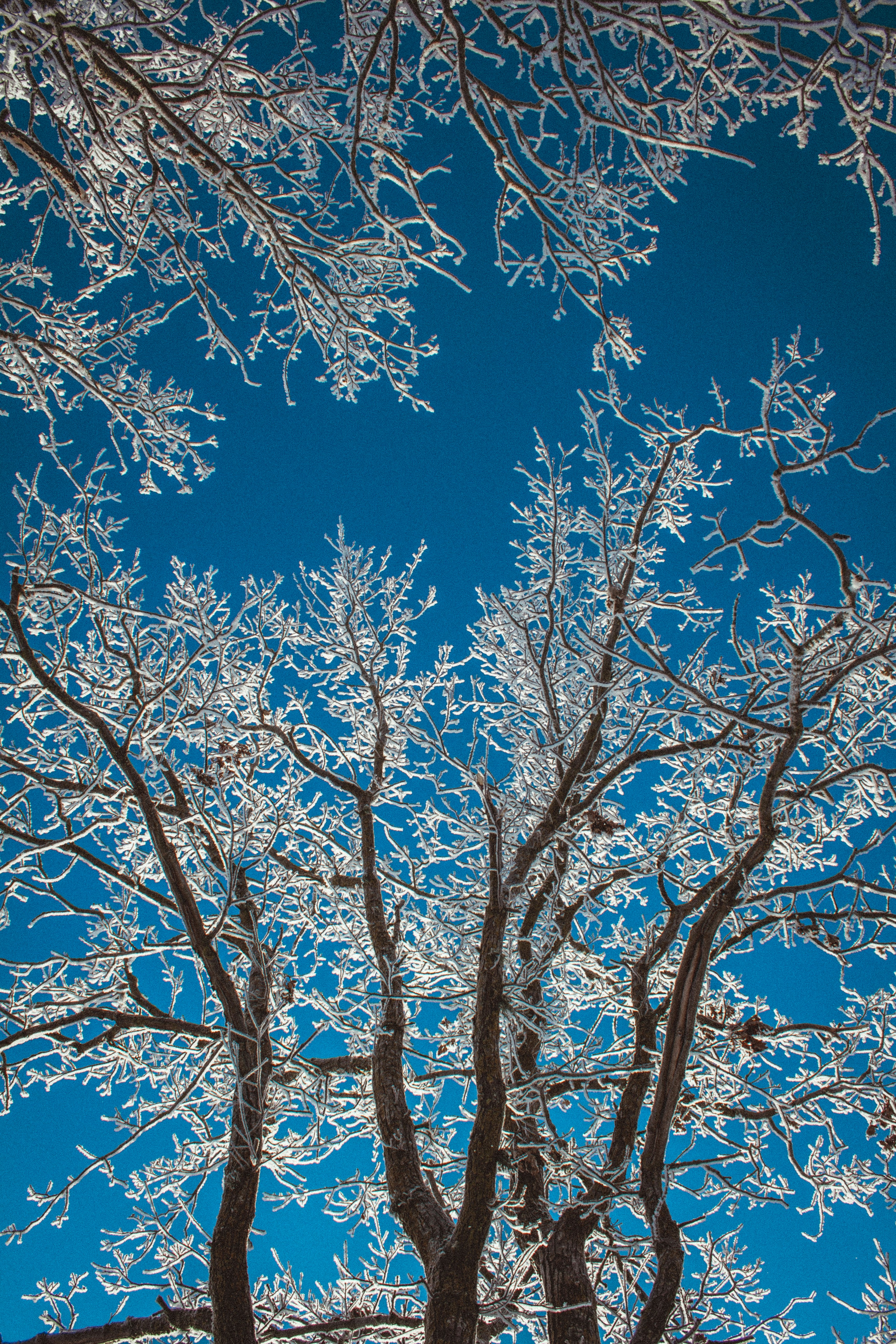 Photo by maximyuryshev