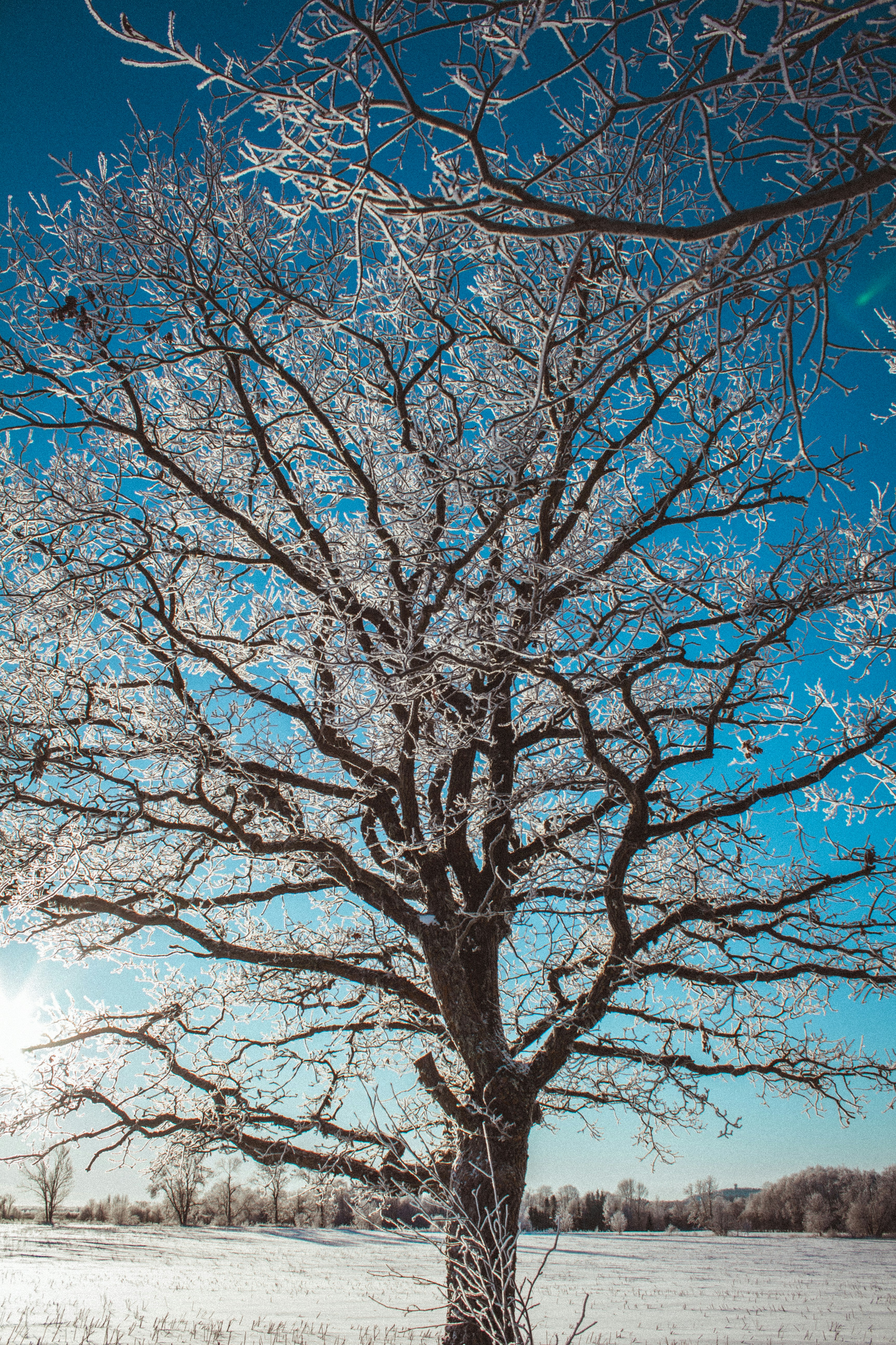 Photo by maximyuryshev