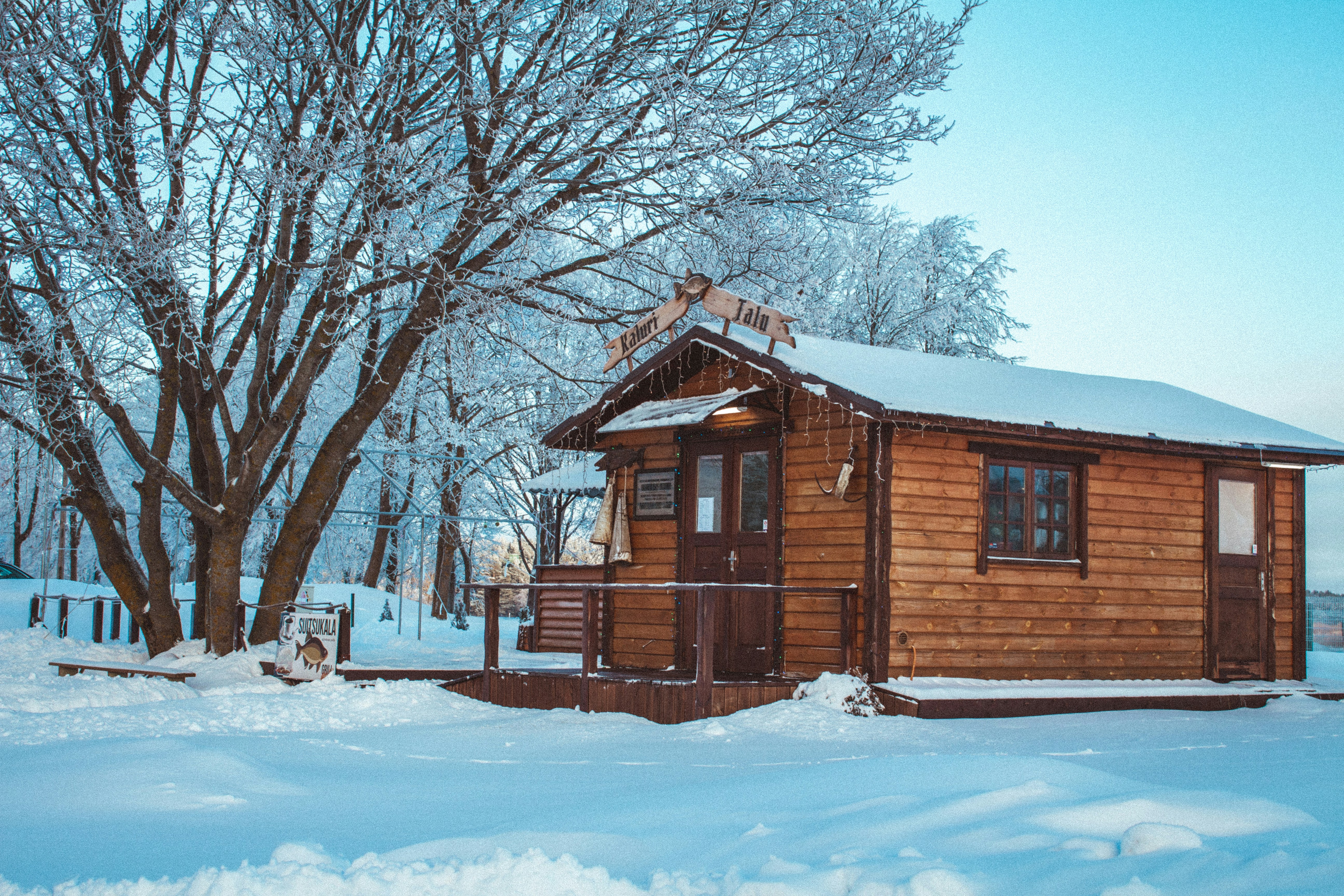 Photo by maximyuryshev