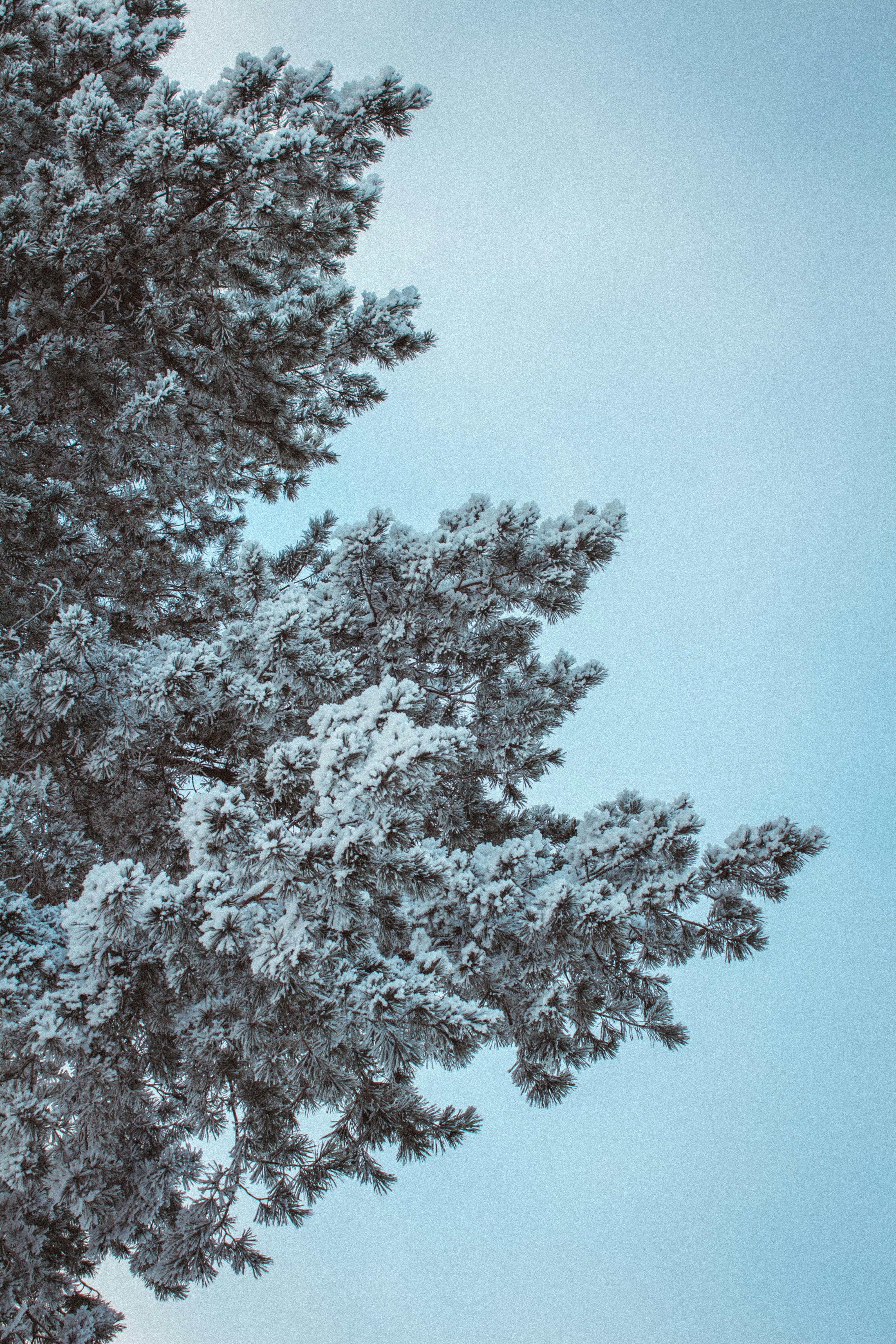 Photo by maximyuryshev