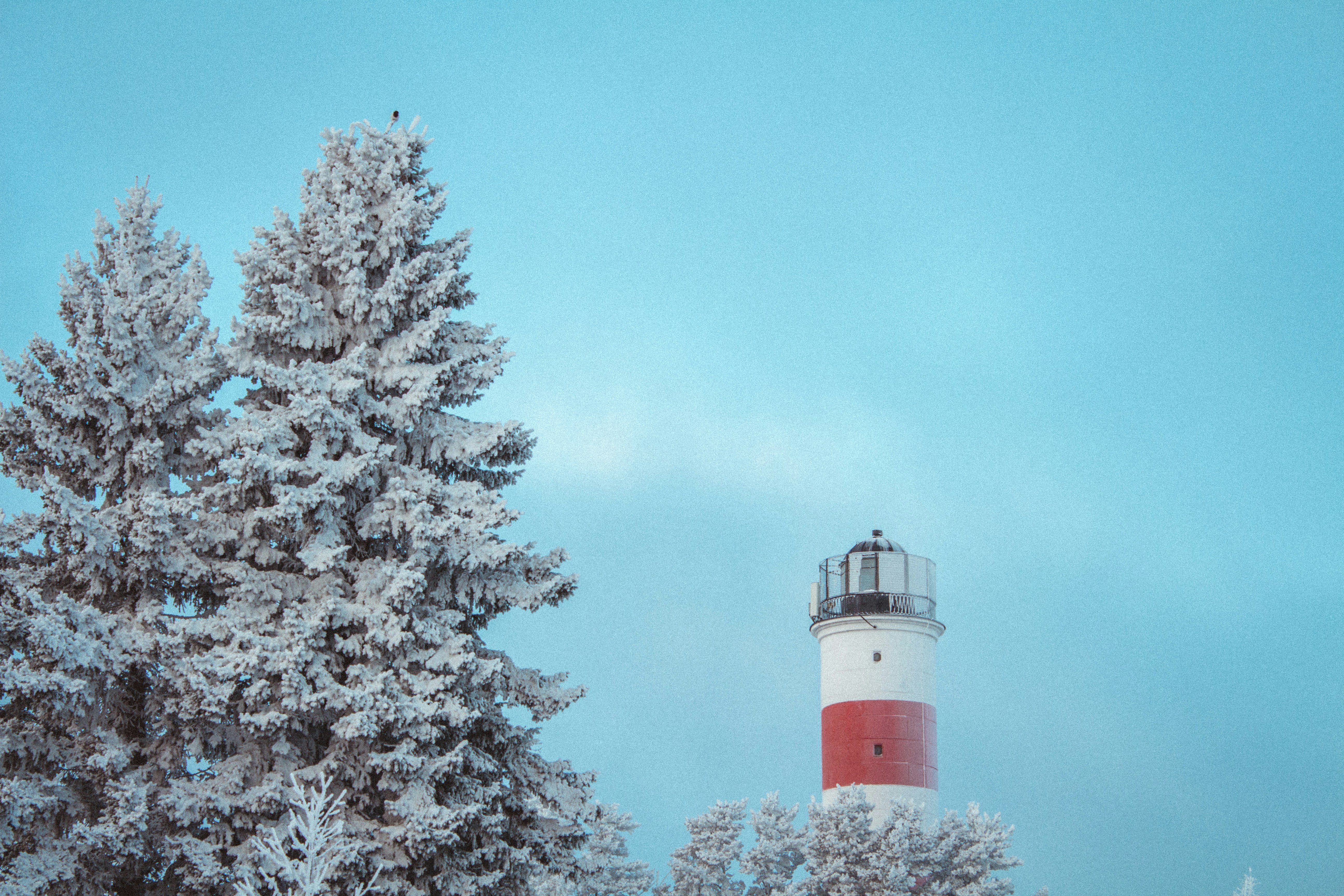 Photo by maximyuryshev