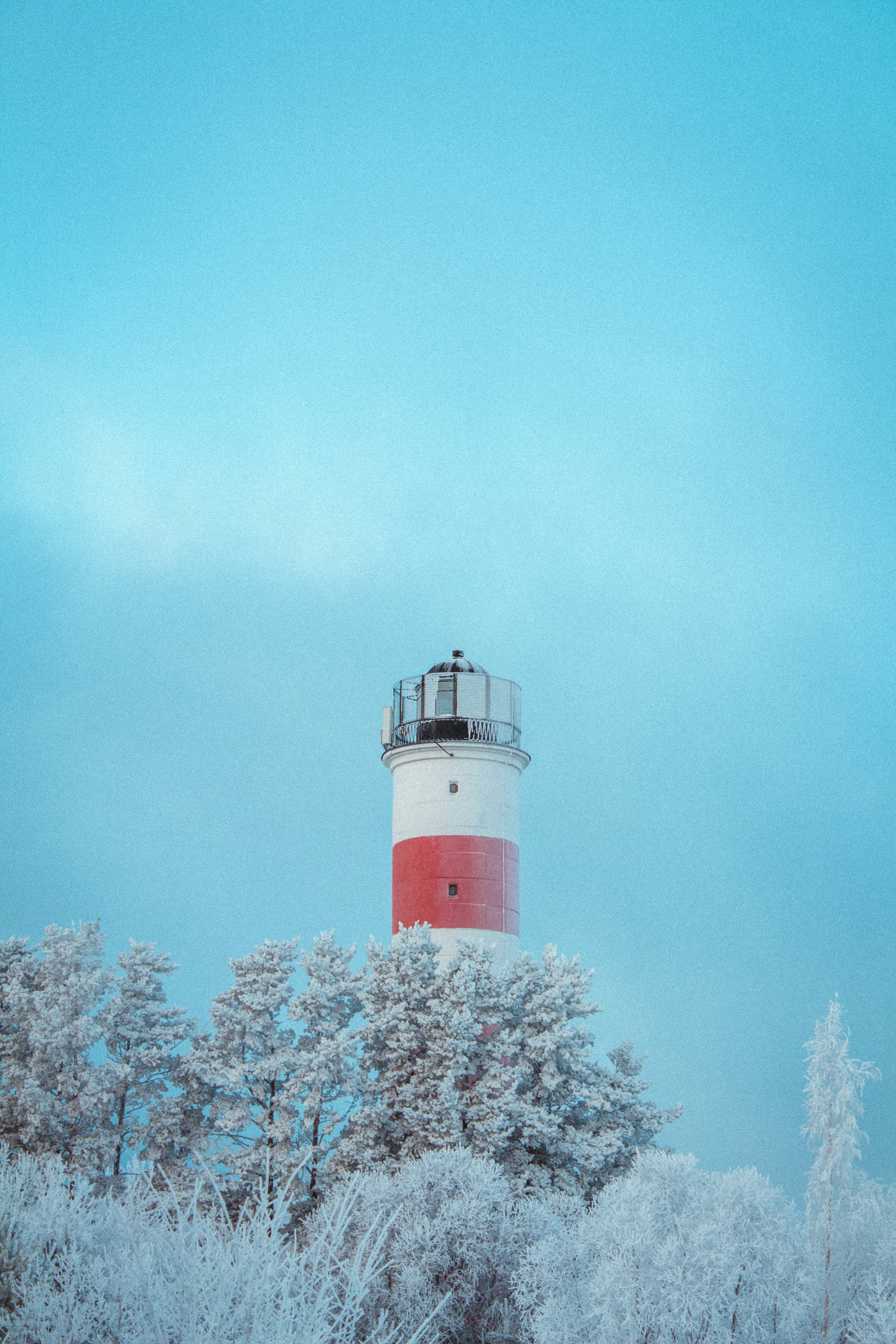 Photo by maximyuryshev