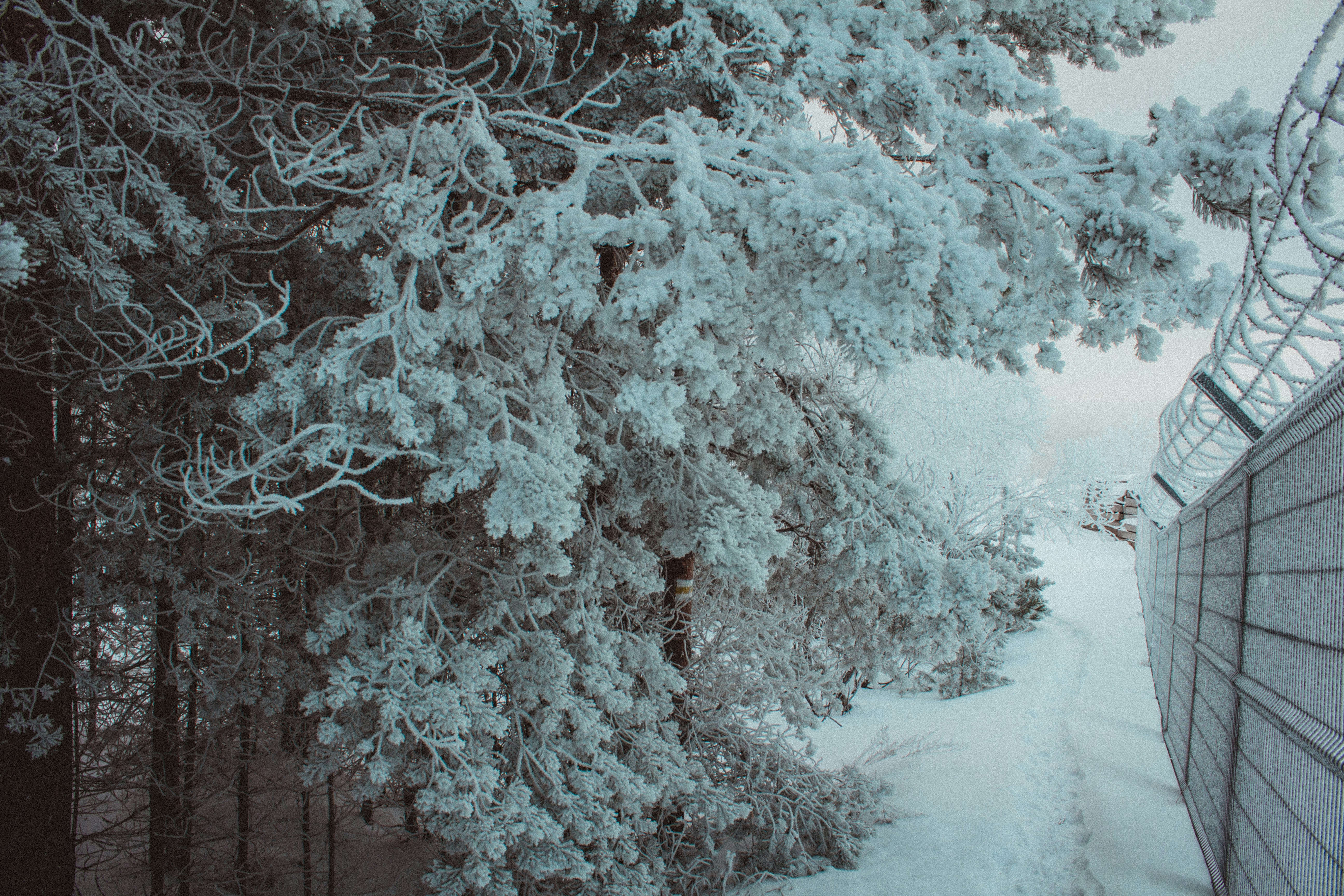 Photo by maximyuryshev